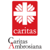 Raccolta dei sacchi Caritas