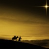 nativity