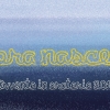 copertina_avvento