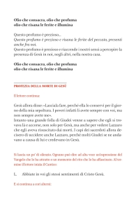 03_Palme_adulti-giovani7