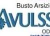 AVULSS LOGO